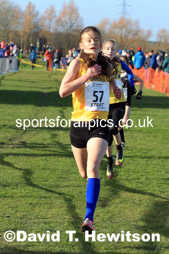 Girls under-13s 2022 Northern Cross Country Champs., Pontefract. Photo: David T. Hewitson/Sports for All Pics